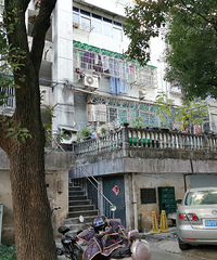 违章搭建 不文明养犬 安全隐患大