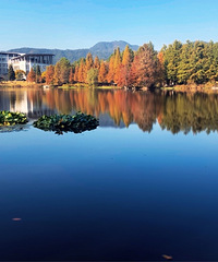 ����С��˯�ţ���ũ�ִ�����»������