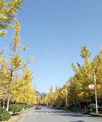 ũ�ִ�Ľ�ɫ����