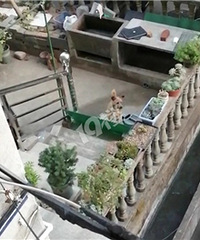 不文明养狗,安全隐患谁负责