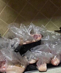 [ʳ]ٹҲҪԣϻ8000Ԫ׼