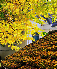 ָ��̽�ģ��������ò���