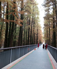 ��ɽ���̵���ɫ����