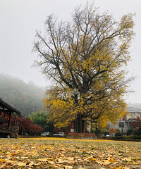 ��������ӱ��ȥָ�ϣ����кܶ�ܶ�õط�