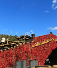 ���Ǿ����ƽ��  ������Ҵ�����