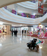 �����ڼ��������������ô��ģ�