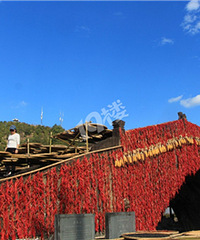 ���Ǿ����ƽ�ף�������Ҵ�����