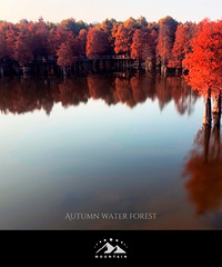 �ֻ�����:��ɽ��ˮ��ɭ����ɫ