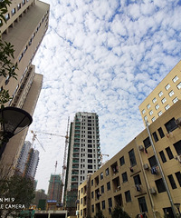 С�������ٰ�֮:�����˼Һ���Ϫ��ҵ���� ����ϵ�������