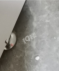 1��4��ĳ���ȴ���������