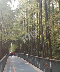 �����ˮ��ɭ�ֹ�԰