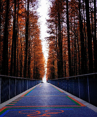 ����Ũ �ر��