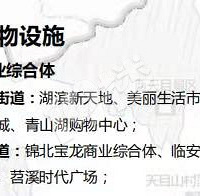 �ٰ���վ�����Ǹ���վ  ���Ǹ���ҵ�ۺ��壿