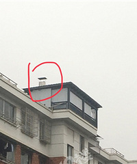 私改烟道养鸽子,各部门居然能同意?