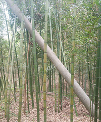 �������˺�Σ�գ���Ҫ���ˣ�λ�ú������ĸ���λ���ܹܣ�