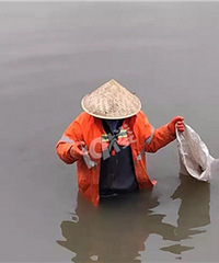 苕溪里最美河道保洁员
