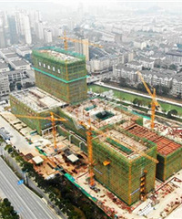 临安区中医院新院区顺利结顶