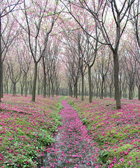 ��ů��������������������������