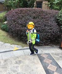 []ѰĿߣٰ7к󵽵׾ʲô