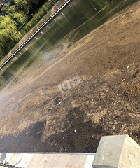 锦溪河道的现状!这么漂亮的绿道和这水形成【金版主已联系处理】