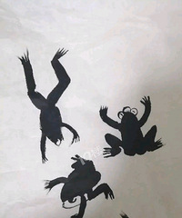 []СϷŴ˳ֵԪôҪǮ