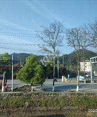 ��ϧ����Щ��