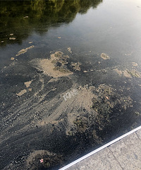 ˮ�������ˣ�