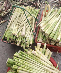 ��Ұɽ�����񫣡�������ջ�