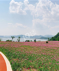 ������ɽ��