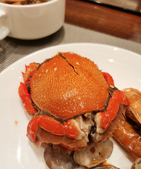 ���������ʲô���ţ����˾�����