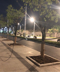 ��С�����ֳ���380�� �����ũ�ִ�ѧ����վ���������´�����