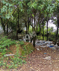 ȥ�˰��ﾰ����·�ߣ����۵�������