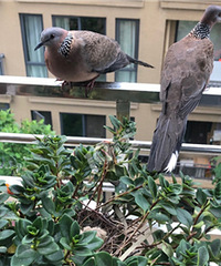 ��¼���ҼҴ�̨���ҵ����