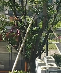 ·������ӣ���ܳԣ�������ĺ�����