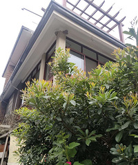 ���ھӶ��ж�����