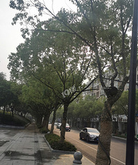 ��Ϫ��·���ϵ�Сҹ�����ڻ�����