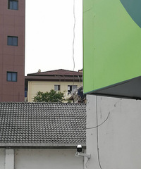 [²]ȥԷС죬ͨͲŷЩ