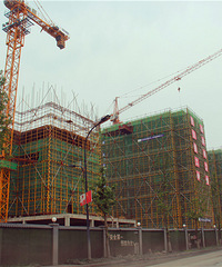 Ͷ5Ԫװ׼ٰ׸˲ŹԢȫᶥ