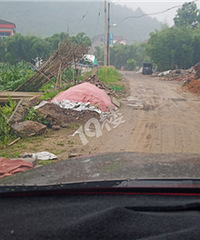 ���Ͻֵ����ϴ������·����������