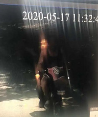 临安一对哥俩躲进山里“改装”车辆,自以为天衣无缝,被民警找到