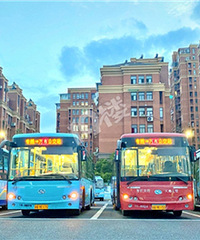 �����������ٰ�ר�߿�ͨ