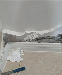 ����֪������ʲô�����