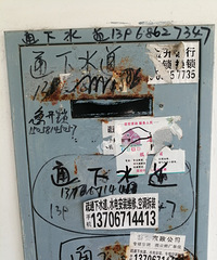 ������ҵ�뻹�����Ǻ�г�����绨԰���̻����Ӳݴ���