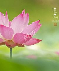 �Լ����֣�������ʳ�����ر��������������˼��С��Ȥ[ej=1