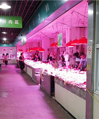 ����˳�����̯������ƹ�