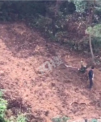 ������Ϊ��ɵ����ֺ�˭������