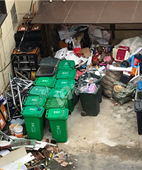 ������ԷС������״