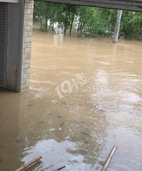 [ɻ]ŹͰ´걻ͣʲôԭ