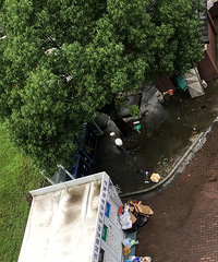 [²]Ҽ¥ͻȻһСӣҲ֮