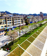 ����Ҫ�������